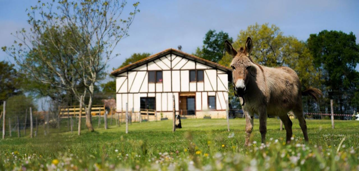 Le Restaurant - La Ferme Aux Buffles - Restaurant Belmont - manger a AIGNAN